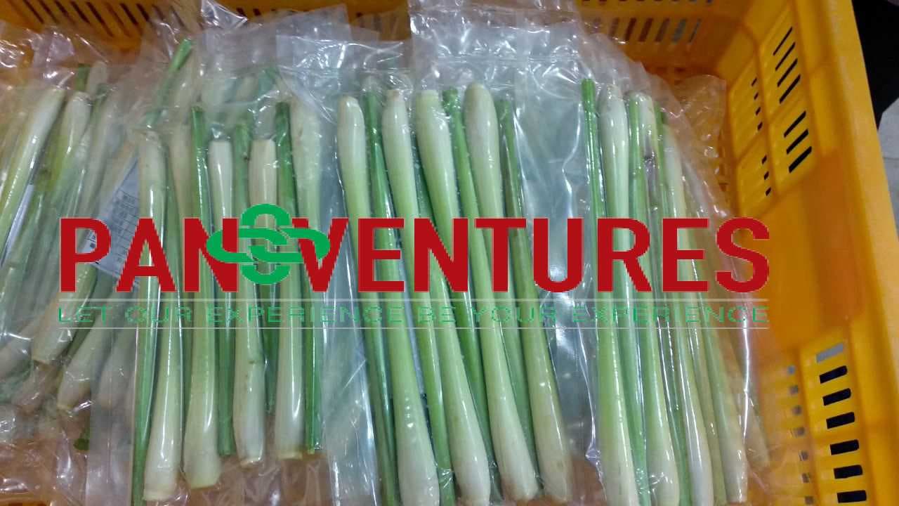 Vietnam Frozen Lemongrass _ Healthy Quality _ Good price